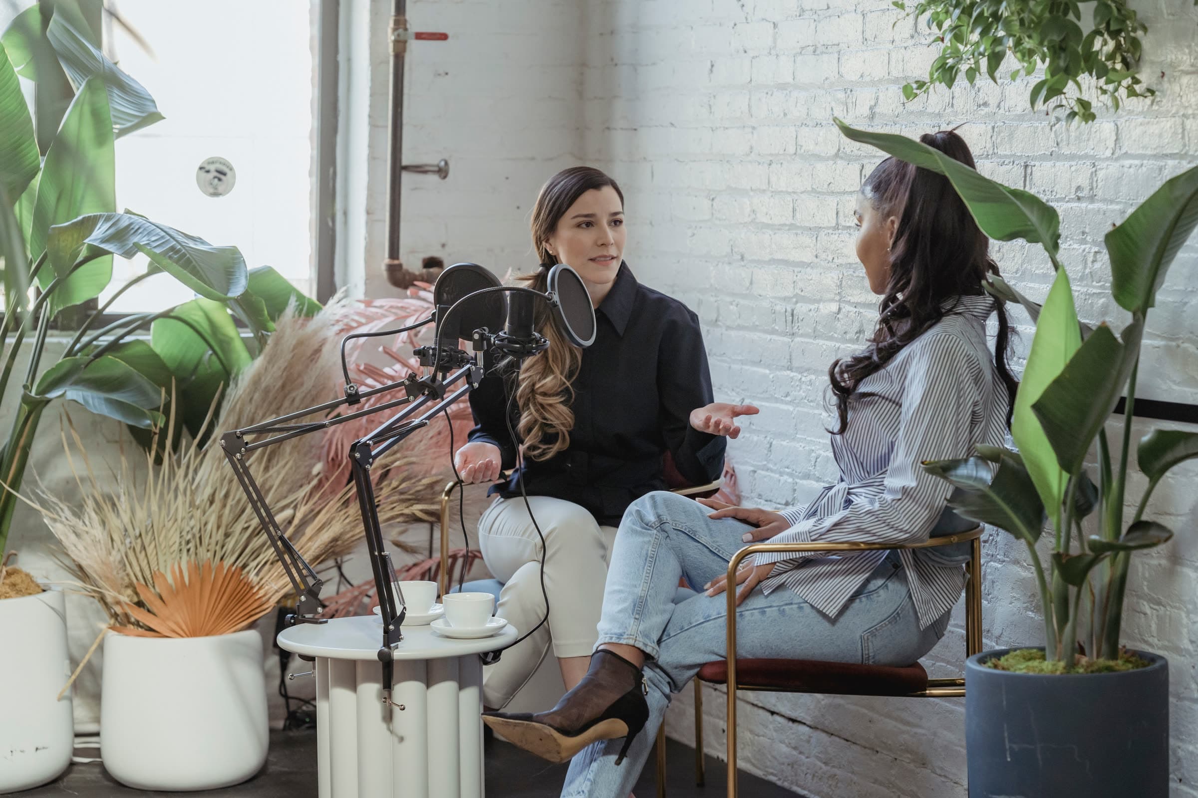A host interviewing a guest at a two-microphone podcast setup surrounded by plants and dried pampas